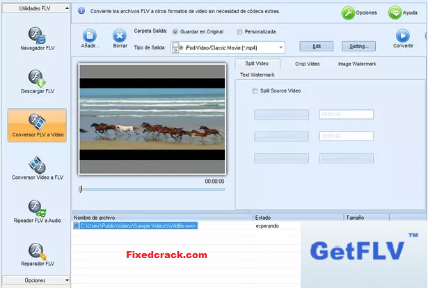 getflv mac torrent