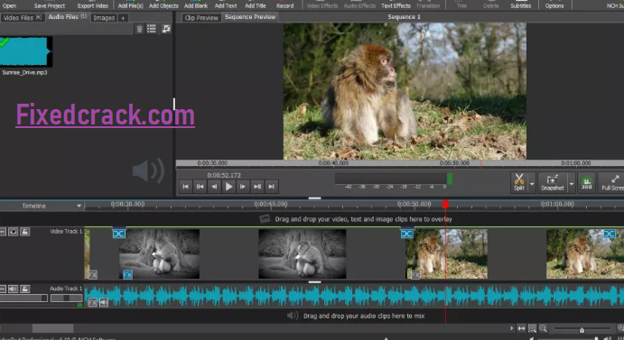 videopad video editor crack